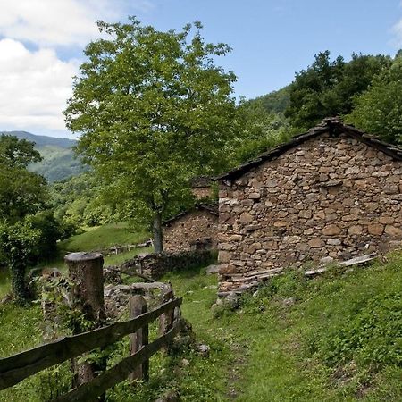 Apto. De Montana La Campa En 펠레초사 외부 사진
